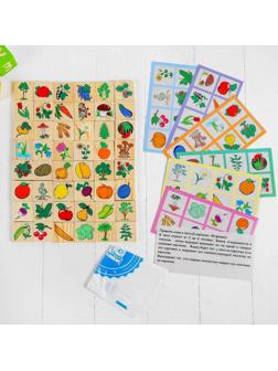 Лото «Растительный мир»