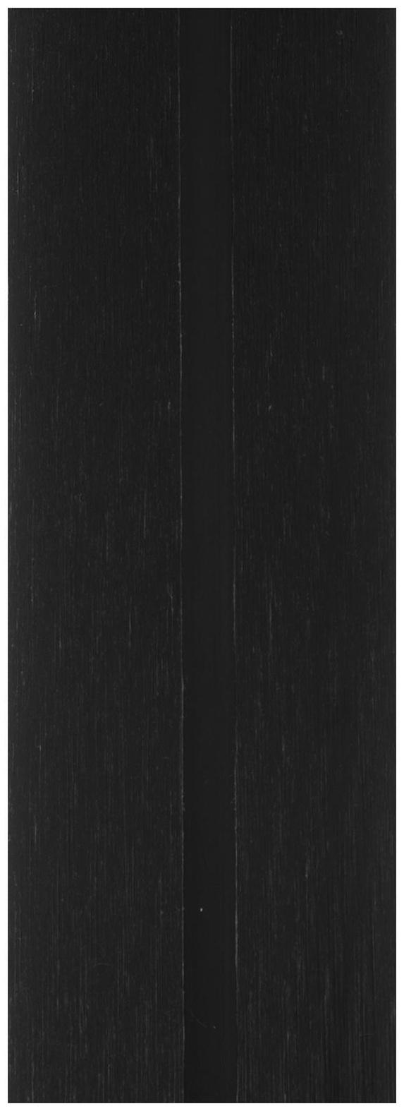 Лыжи пластиковые «БРЕНД ЦСТ», 205 см, без креплений, без насечек, цвета микс