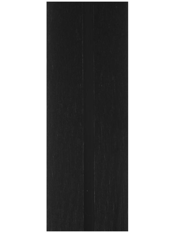 Лыжи пластиковые «БРЕНД ЦСТ», 205 см, без креплений, без насечек, цвета микс