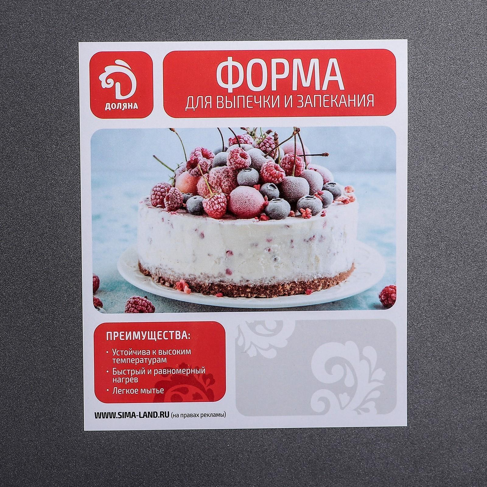 Противень Доляна «Жаклин. Прямоугольник», 32×47×2 см, антипригарное покрытие, цвет чёрный