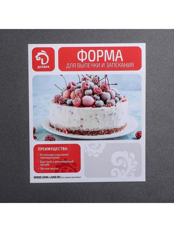 Противень Доляна «Жаклин. Прямоугольник», 32×47×2 см, антипригарное покрытие, цвет чёрный