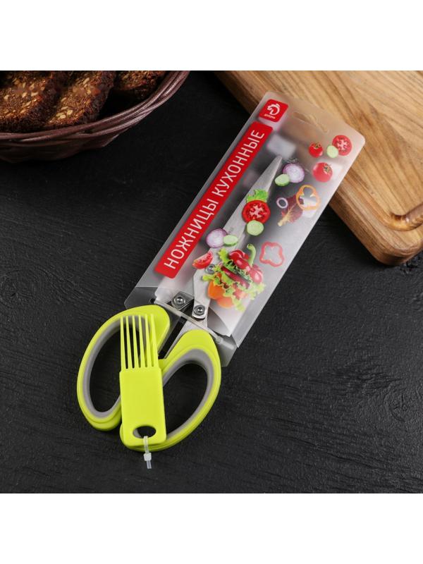 Ножницы кухонные для зелени Доляна «Кольца», 19 см, цвет МИКС