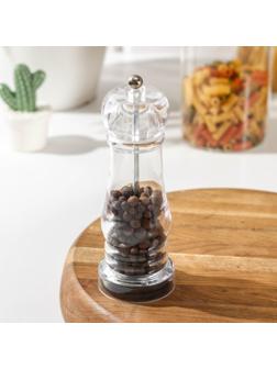 Мельница для специй «Фигура», пластиковый механизм, 17×6 см, цвет прозрачный