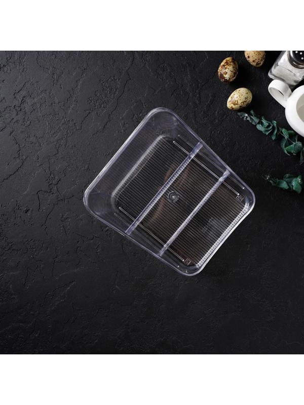 Органайзер для специй Alt, цвет прозрачный