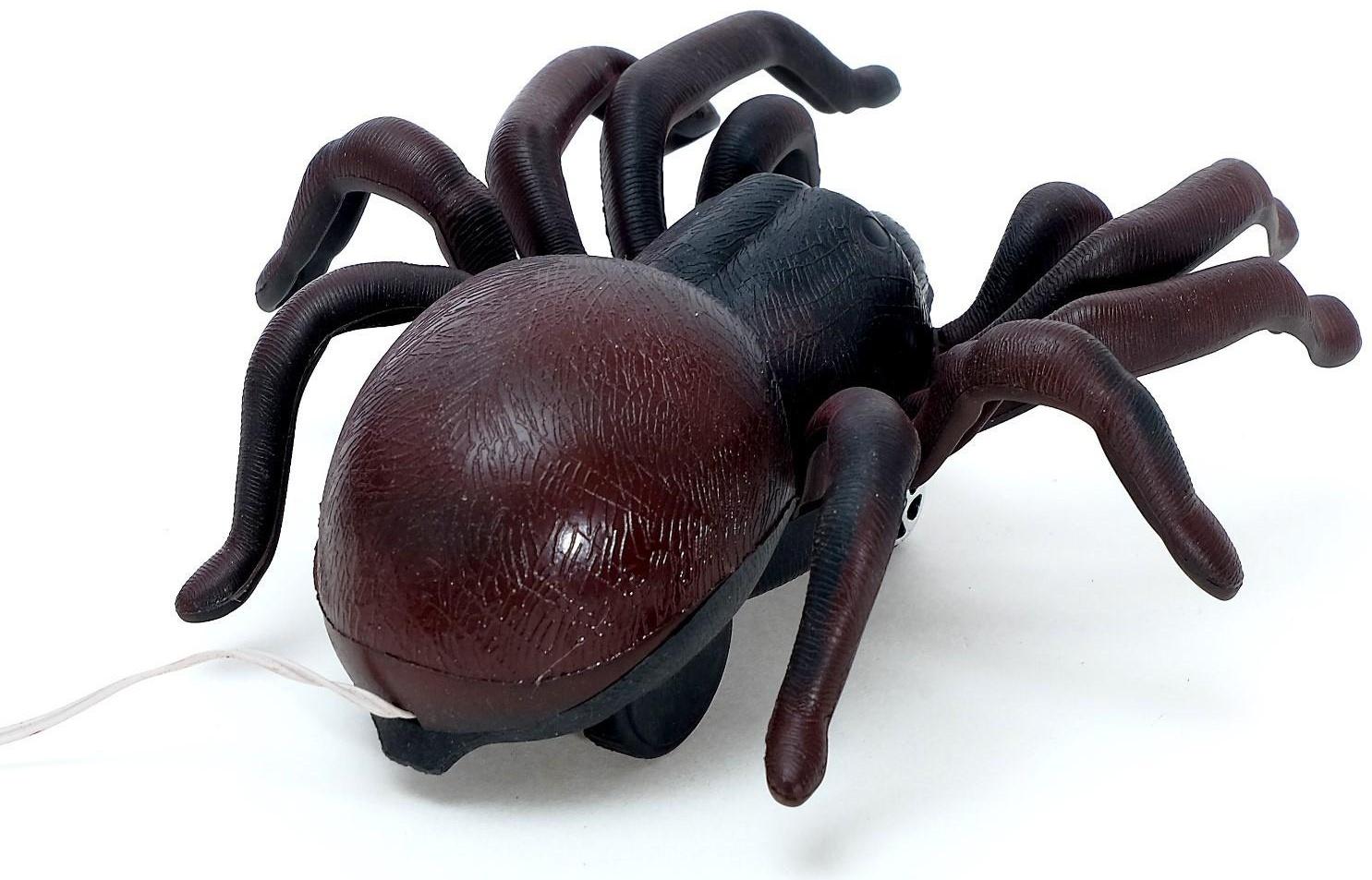 Животное «Паук», на дистанционном управлении, работает от батареек, цвета МИКС