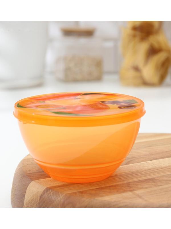 Контейнер пластиковый пищевой «Сочный цитрус», 500 мл, цвет МИКС