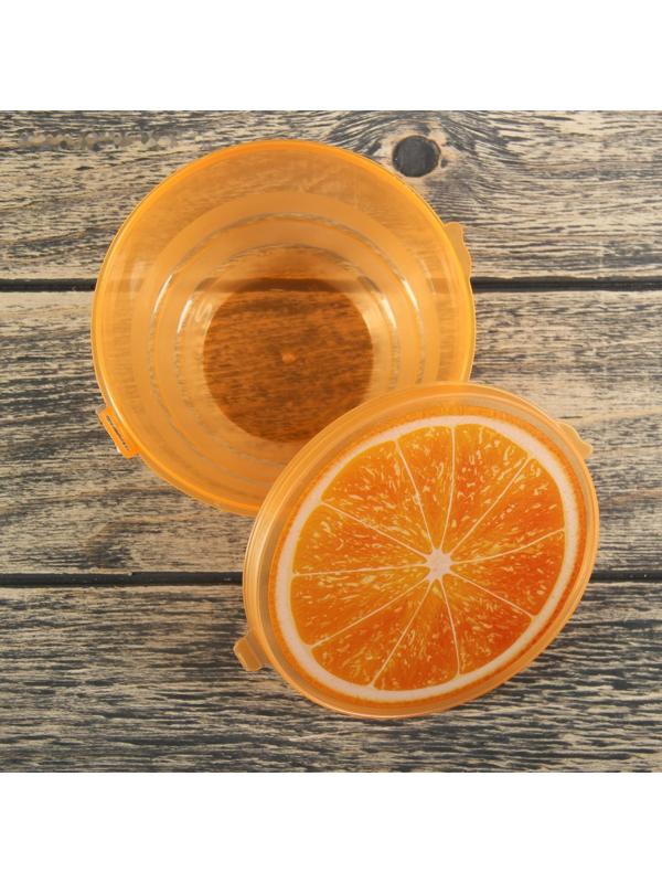 Контейнер пластиковый пищевой «Сочный цитрус», 500 мл, цвет МИКС