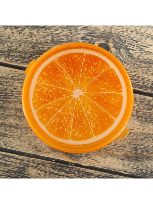 Контейнер пластиковый пищевой «Сочный цитрус», 500 мл, цвет МИКС