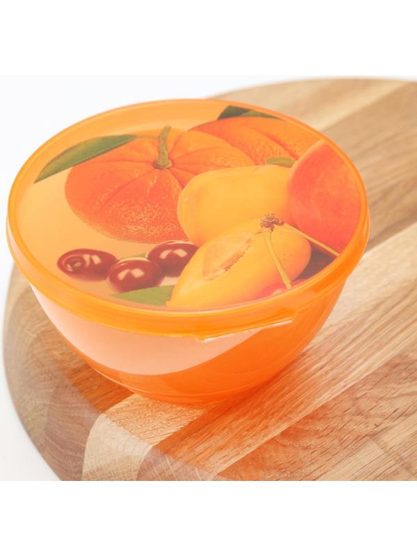 Контейнер пластиковый пищевой «Сочный цитрус», 500 мл, цвет МИКС