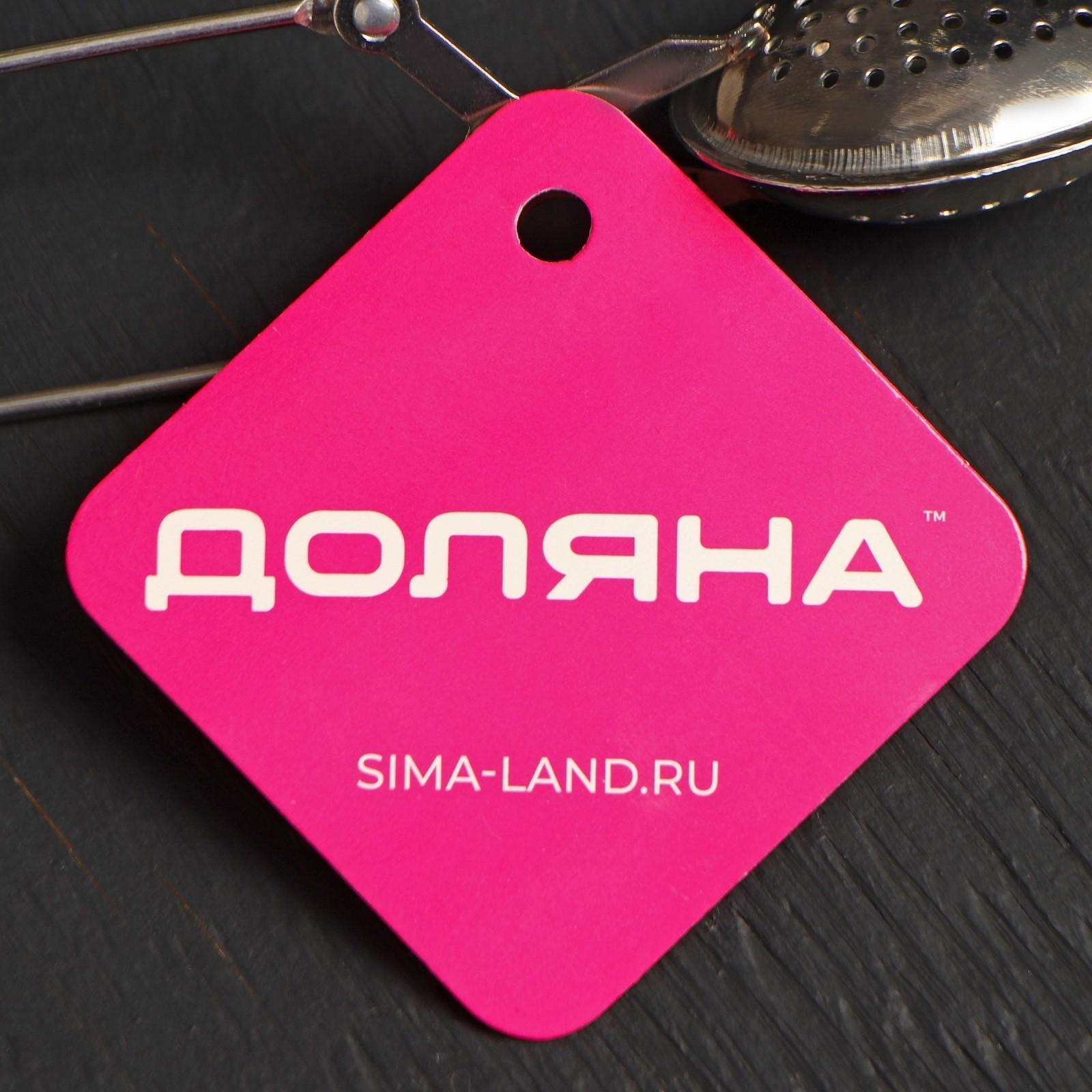 Ситечко для чая Доляна «Листик», 17 см