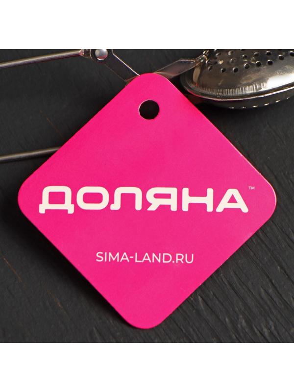 Ситечко для чая Доляна «Листик», 17 см