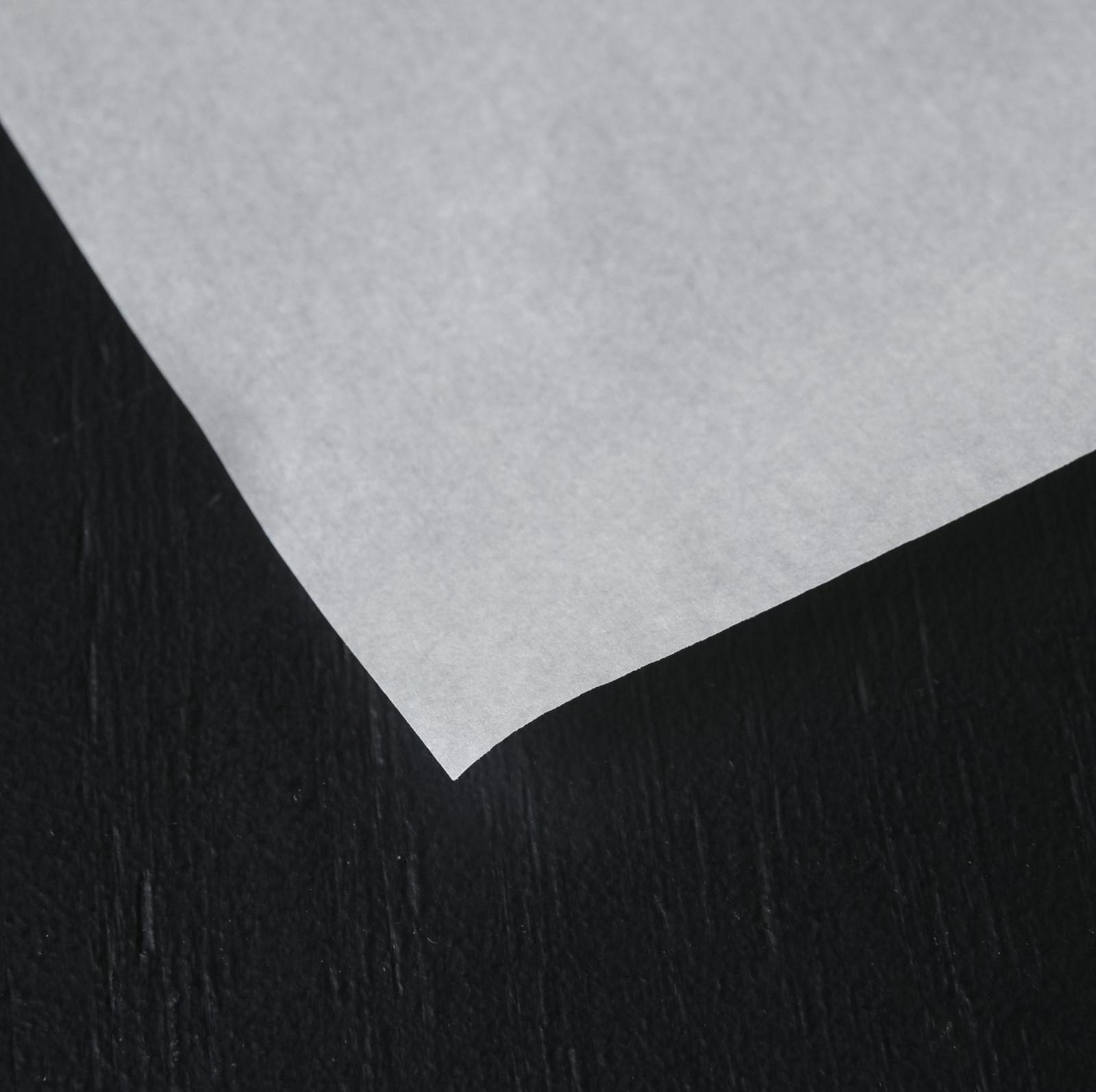 Пергамент для выпечки Доляна, 30 см×8 м