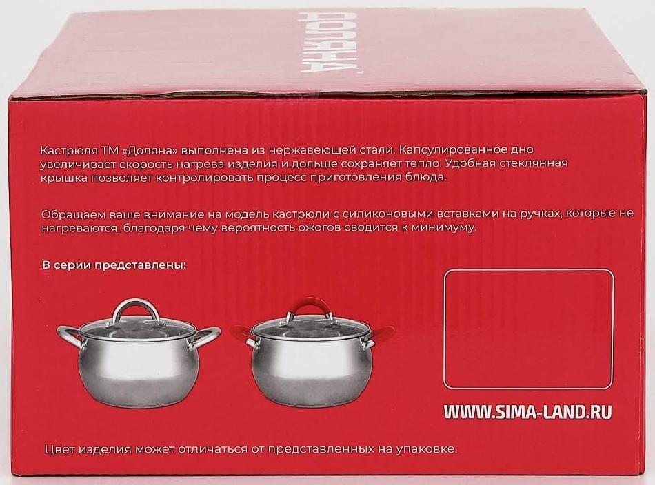 Кастрюля из нержавеющей стали Доляна «Гиперион», 3,5 л, d=20 см, стеклянная крышка