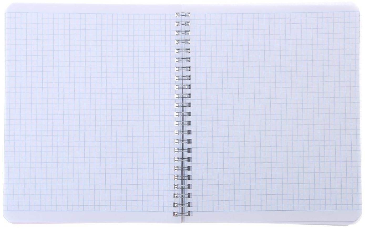 Тетрадь 80 листов, в клетку, на гребне, iFRESH, обложка мелованный картон, блок офсет / Микс 4 шт.