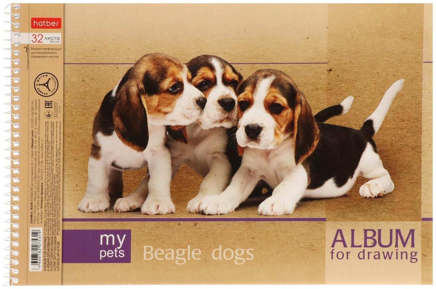 Альбом для рисования А4, 32 листа, на гребне, 