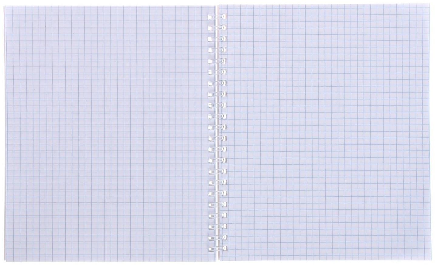 Тетрадь 80 листов в клетку на гребне 