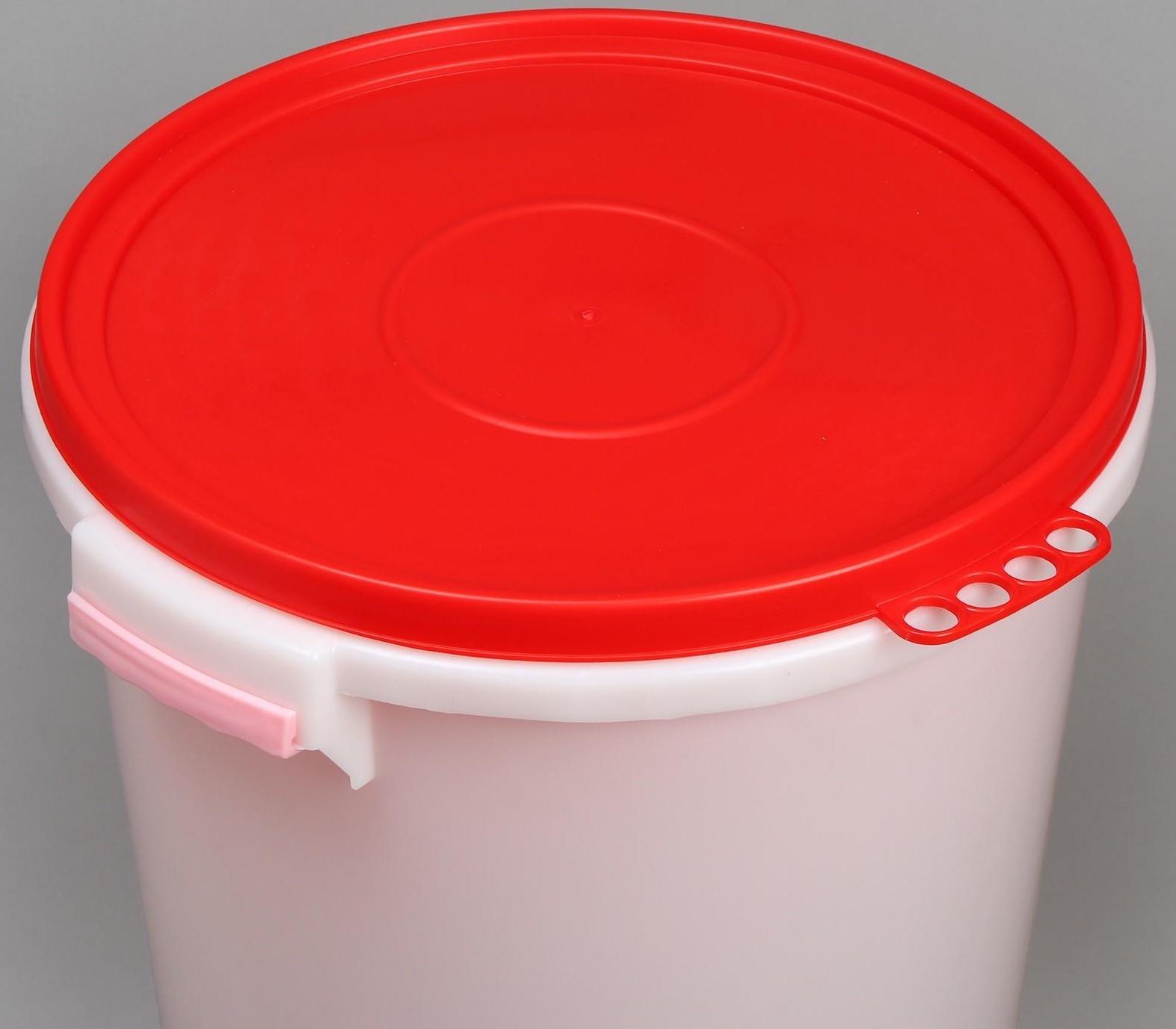 Бак пищевой «Для солений», 45 л, с герметичной крышкой, цвет МИКС