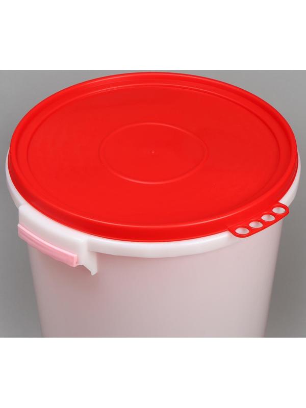 Бак пищевой «Для солений», 45 л, с герметичной крышкой, цвет МИКС