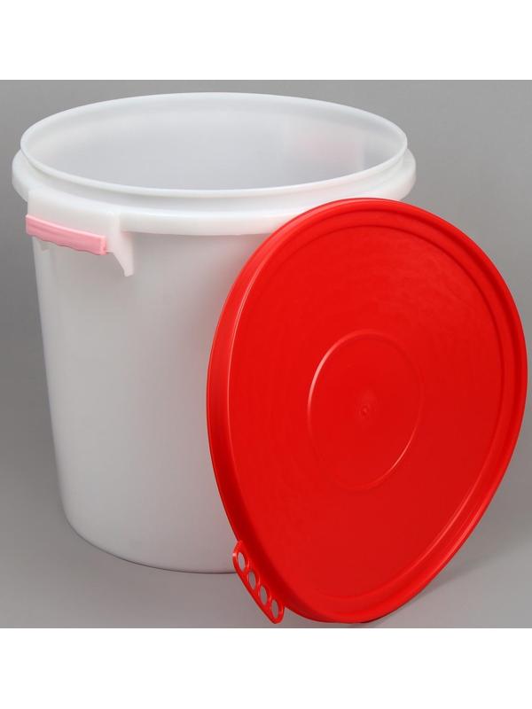 Бак пищевой «Для солений», 45 л, с герметичной крышкой, цвет МИКС