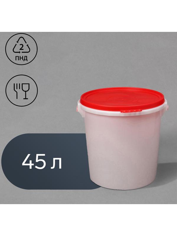 Бак пищевой «Для солений», 45 л, с герметичной крышкой, цвет МИКС
