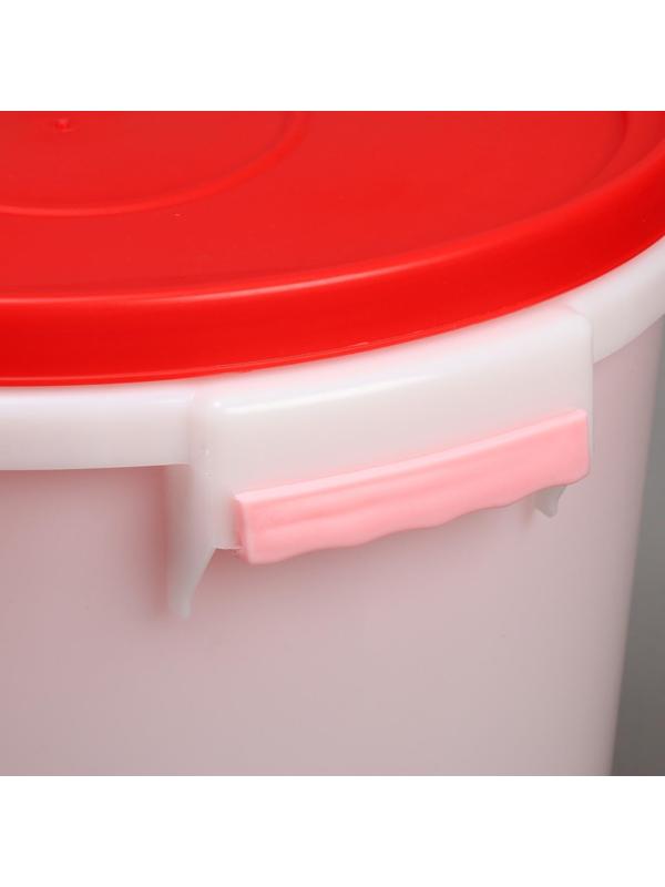 Бак пищевой «Для солений», 45 л, с герметичной крышкой, цвет МИКС