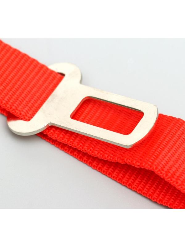 Автомобильный ремень безопасности для собак особо прочный, 68 х 2,5 см, микс цветов