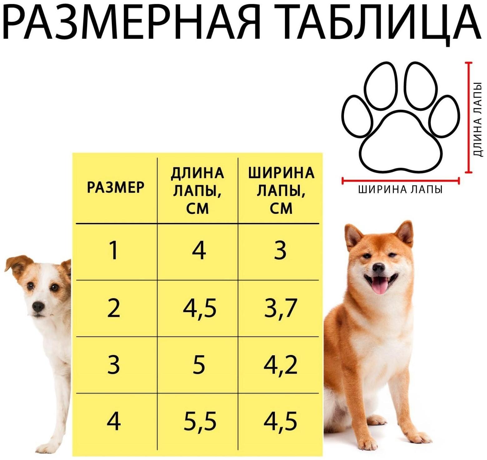 Ботинки Элеганс, набор 4 шт, размер 4 (подошва 5,5 х 4,5 см) розовые