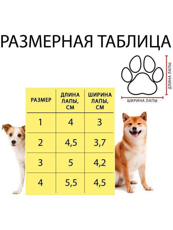Ботинки Элеганс, набор 4 шт, размер 4 (подошва 5,5 х 4,5 см) розовые