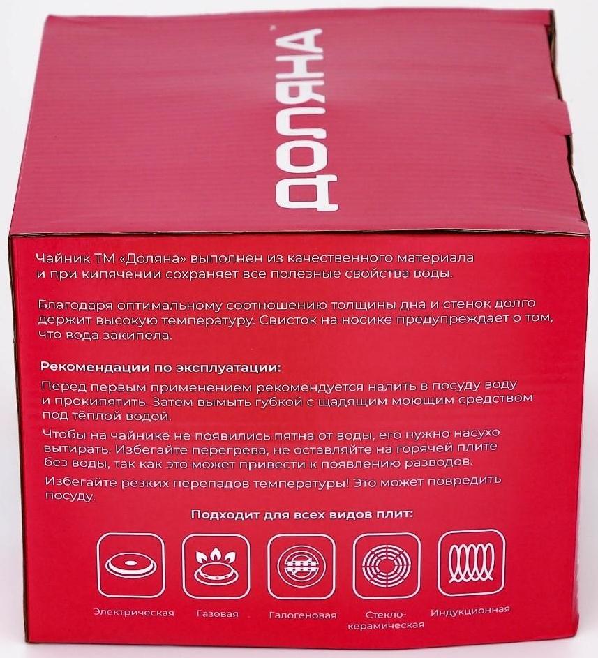 Чайник со свистком из нержавеющей стали «Мрамор», 3 л, фиксированная ручка