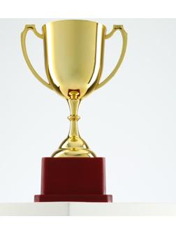Кубок спортивный, золото