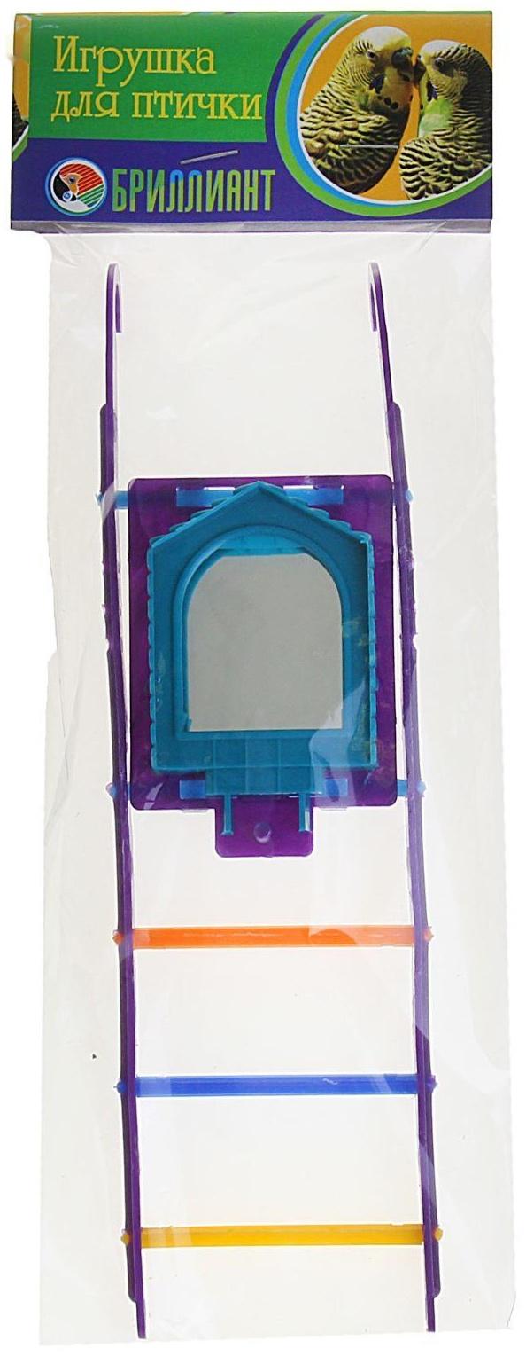 Игрушка для птиц лестница с зеркалом, микс цветов