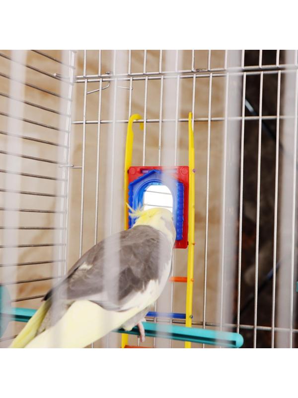 Игрушка для птиц лестница с зеркалом, микс цветов