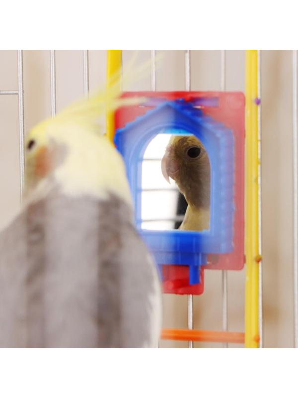 Игрушка для птиц лестница с зеркалом, микс цветов