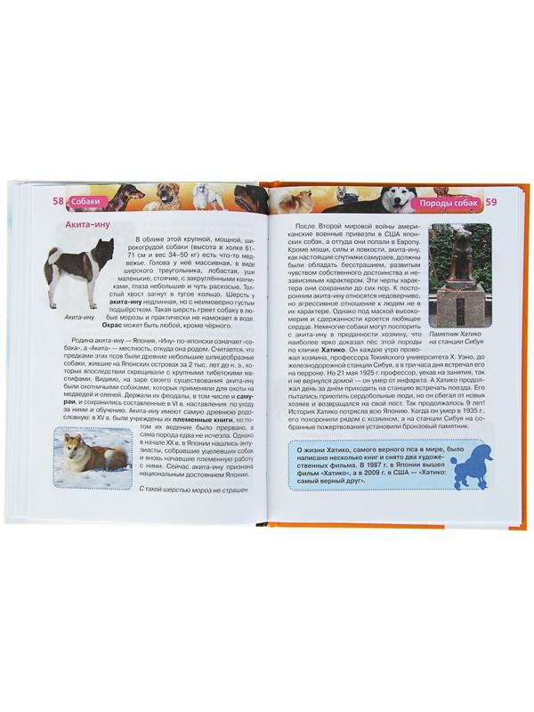 Детская энциклопедия «Собаки»