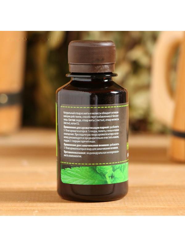 Настой косметический ароматизирующий Мята и мелисса, 100мл