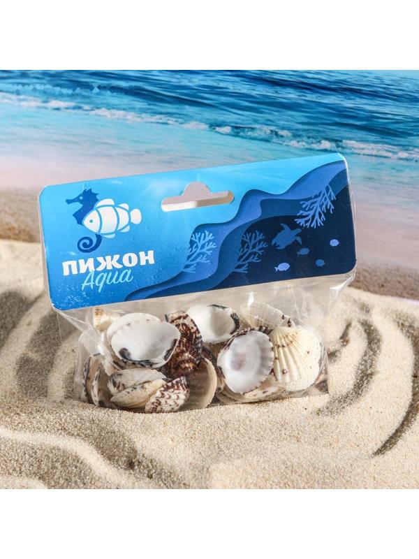 Набор ракушек, 2,5 - 4 см, 100 г