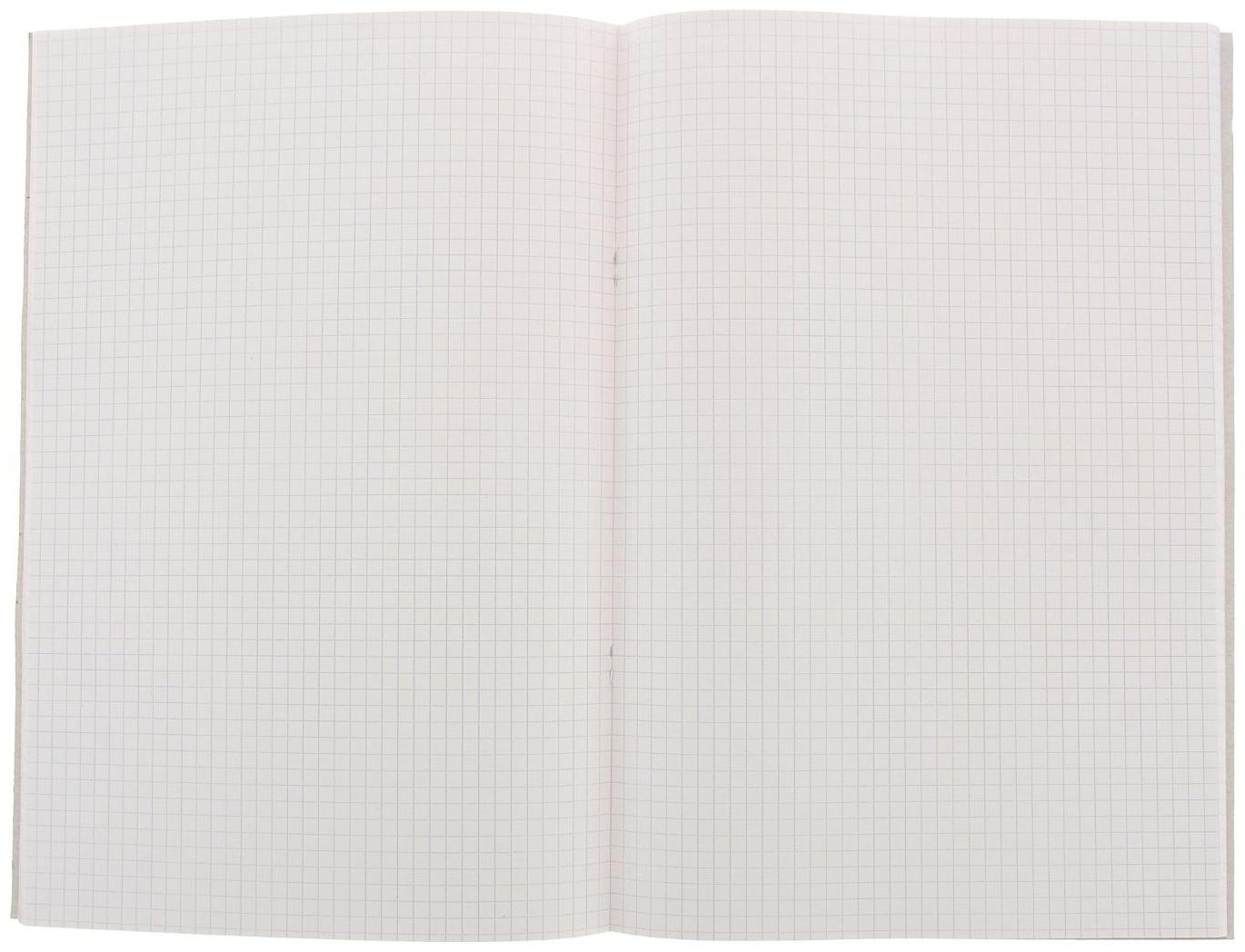 Книга учёта А4, 48 листов, в клетку, обложка картон, офсет