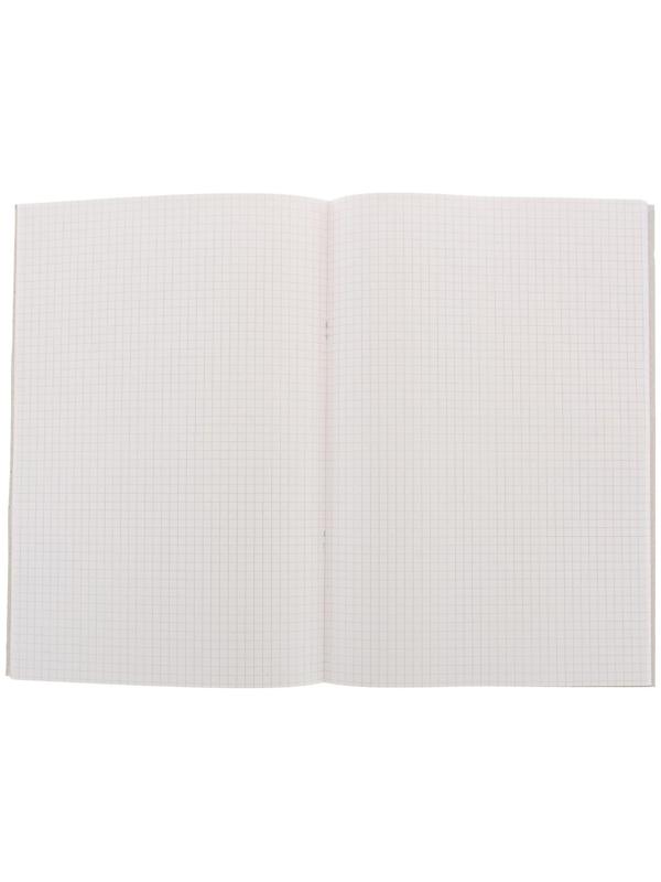Книга учёта А4, 48 листов, в клетку, обложка картон, офсет