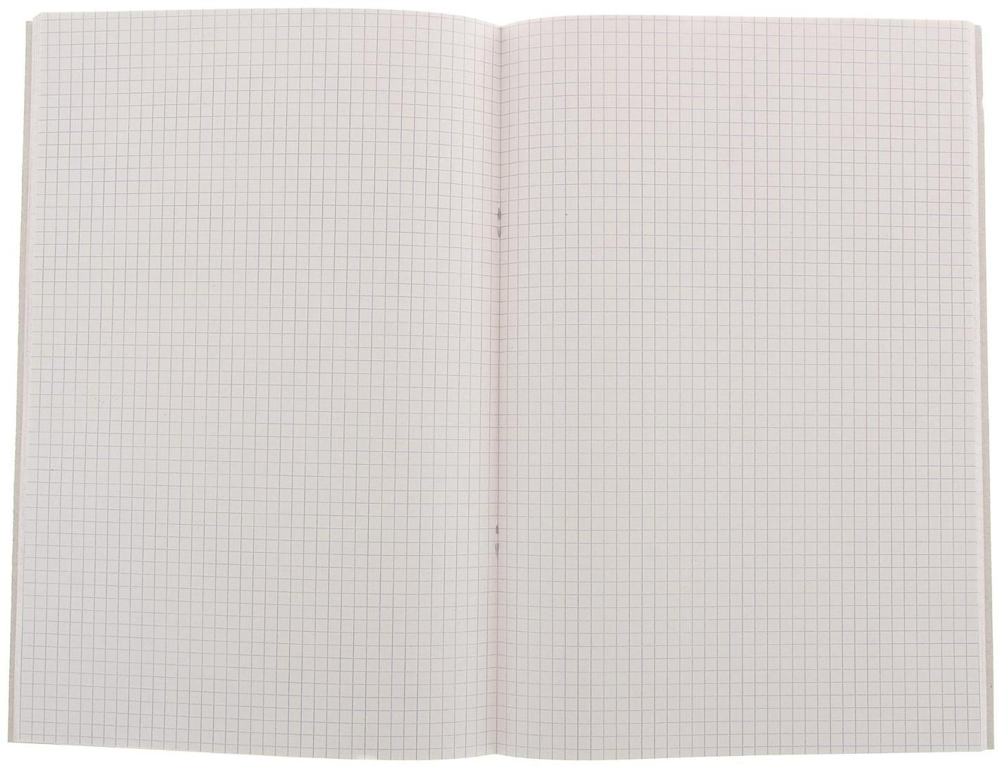 Книга учёта А4, 48 листов, в клетку, цветная обложка, офсет