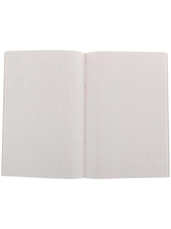 Книга учёта А4, 48 листов, в клетку, цветная обложка, офсет