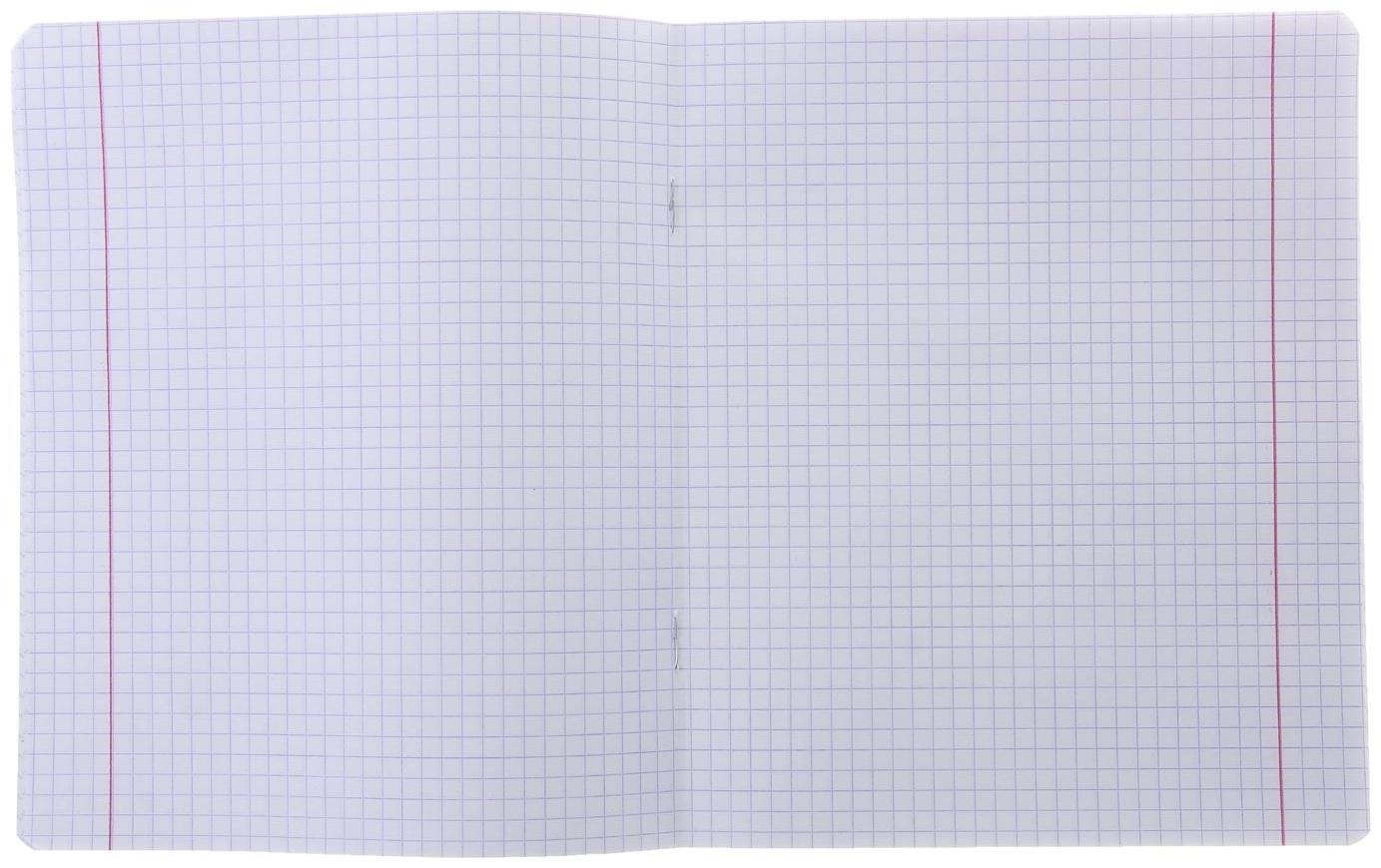 Тетрадь 24 листа клетка 