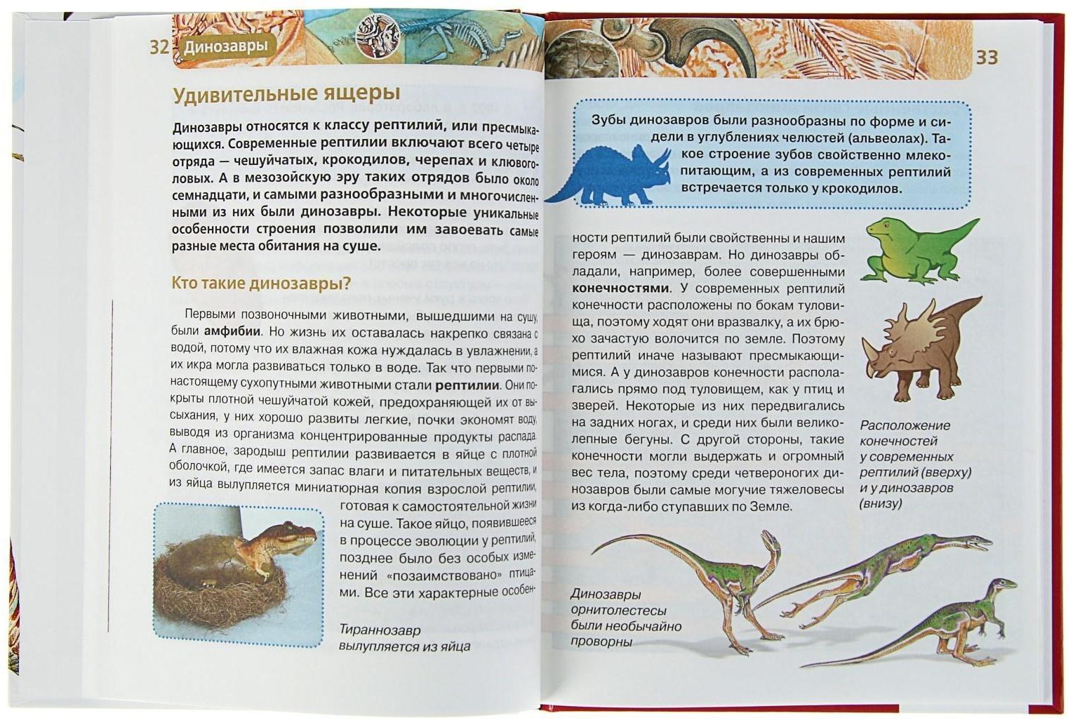 Детская энциклопедия «Динозавры»