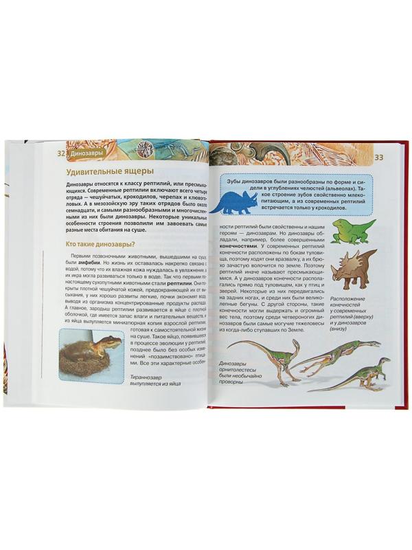 Детская энциклопедия «Динозавры»