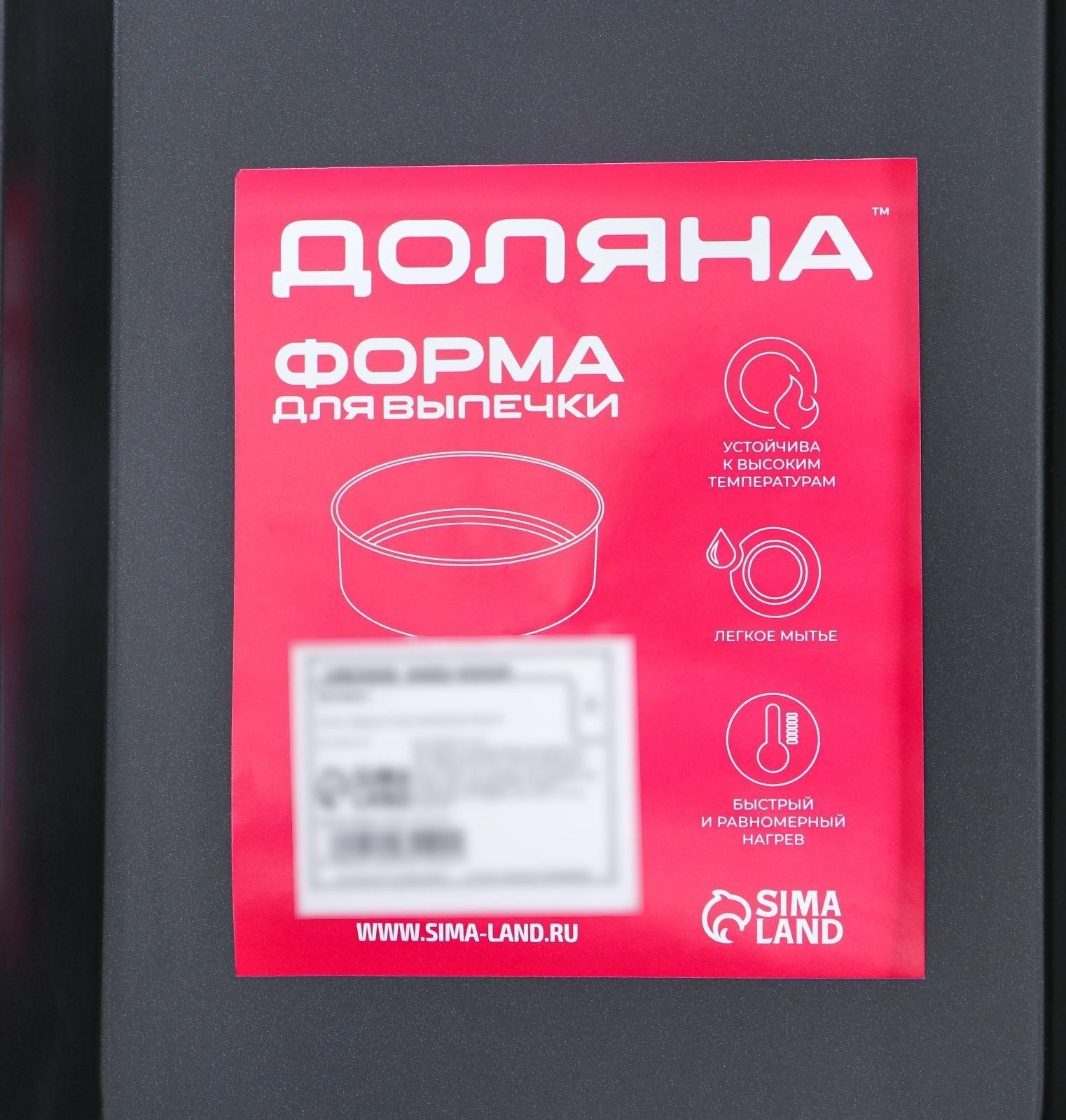 Противень Доляна «Ренард. Прямоугольник», 25×17×3 см, антипригарное покрытие, цвет красный