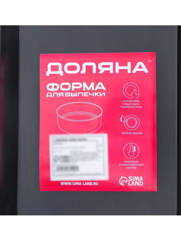 Противень Доляна «Ренард. Прямоугольник», 25×17×3 см, антипригарное покрытие, цвет красный