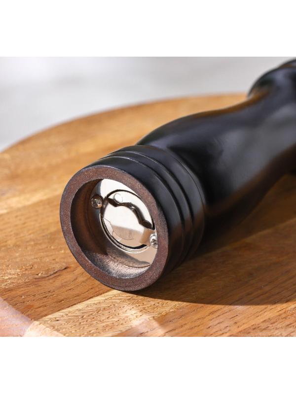 Мельница для специй, 21×4,5 см, металлический механизм, цвет чёрное дерево