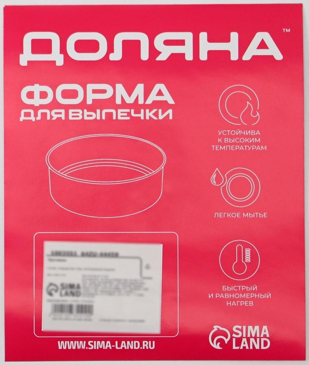 Противень Доляна «Ренард. Прямоугольник», 28×19×3 см, антипригарное покрытие, цвет красный