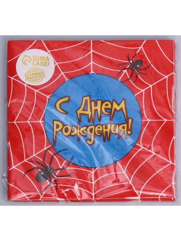 Набор бумажных салфеток «С днём рождения», паутина, 33х33, 20 шт.