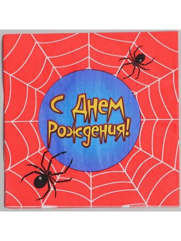 Набор бумажных салфеток «С днём рождения», паутина, 33х33, 20 шт.