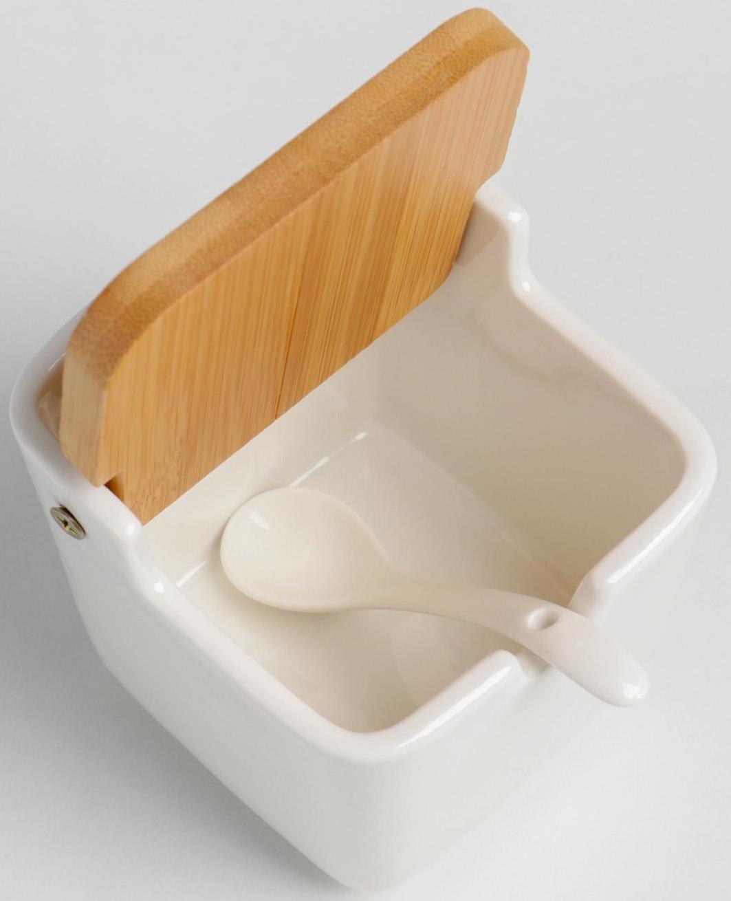 Банка фарфоровая для сыпучих продуктов Доляна «Акцент», 280 мл, 9,5×9×9,5 см, с ложкой